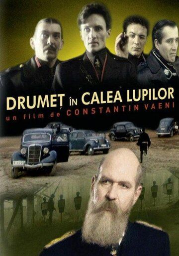 Постер фильма «Drumet în calea lupilor»