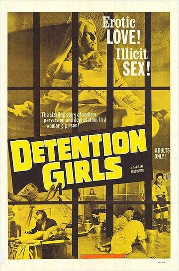 Постер фильма «The Detention Girls»