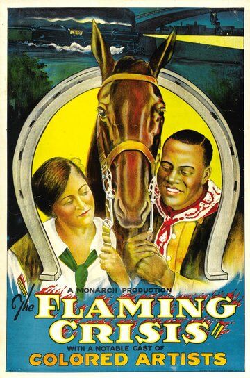 Постер фильма «The Flaming Crisis»