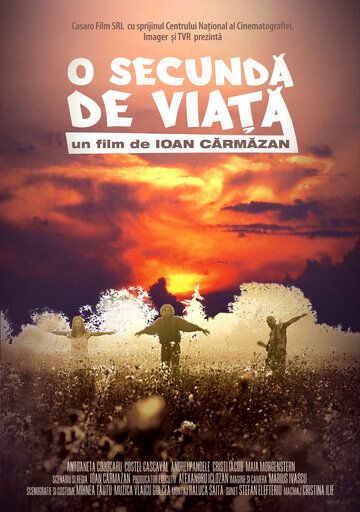 Постер фильма «O secundã de viatã»