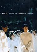 Постер фильма «Angel Voices: Libera in Concert»