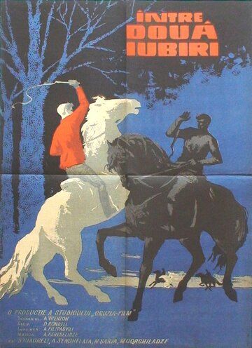 Постер фильма «На берегах Ингури»