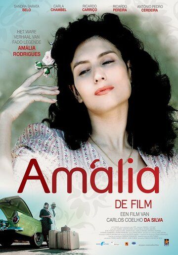 Постер фильма «Амалия»