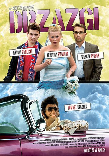 Постер фильма «Занозы»