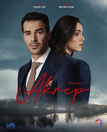 Постер фильма «Скорпион»