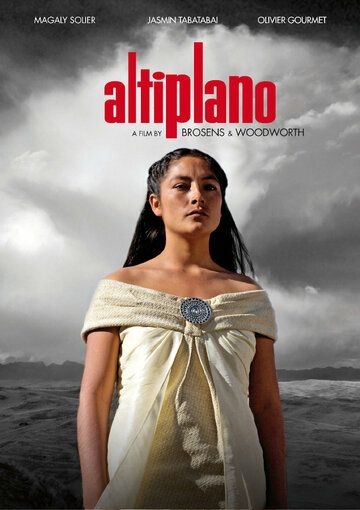 Постер фильма «Альтиплано»