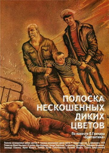 Постер фильма «Полоска нескошенных диких цветов»