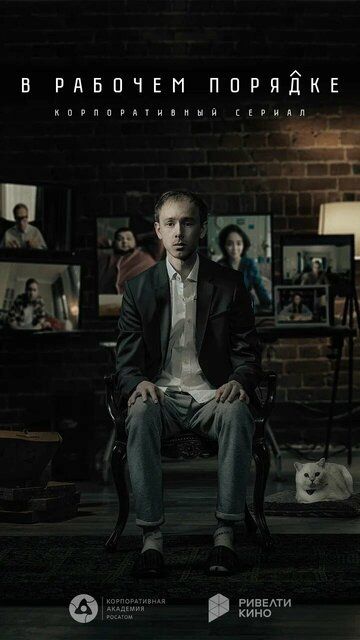 Постер фильма «В рабочем порядке»