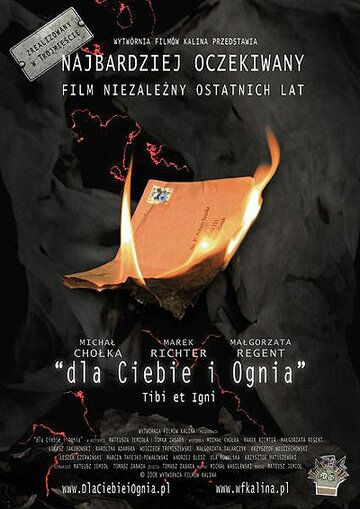 Постер фильма «Тебе и огню»