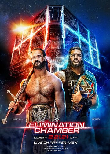 Постер фильма «WWE Камера ликвидации»