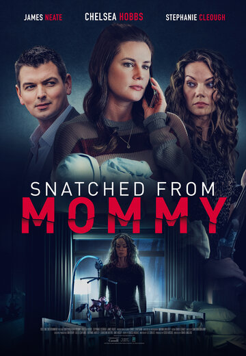 Постер фильма «Snatched from Mommy»