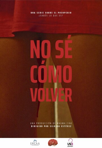 Постер фильма «No se cómo volver»