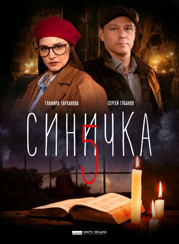 Постер фильма «Синичка 5»