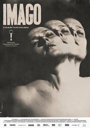 Постер фильма «Imago»