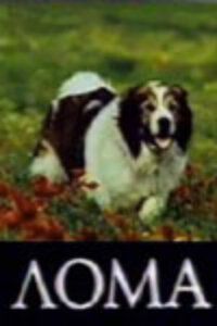 Постер фильма «Лома»