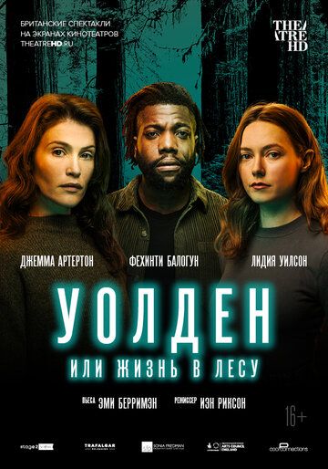 Постер фильма «Уолден, или Жизнь в лесу»