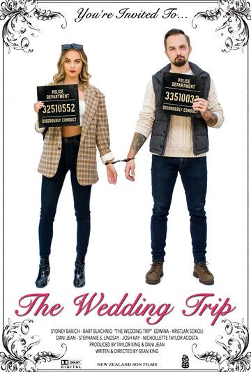 Постер фильма «The Wedding Trip»