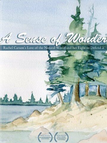 Постер фильма «A Sense of Wonder»