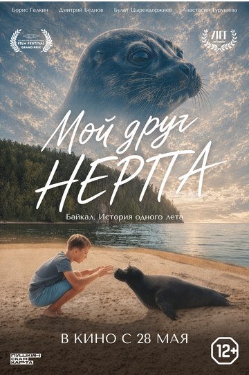 Постер фильма «Мой друг нерпа»