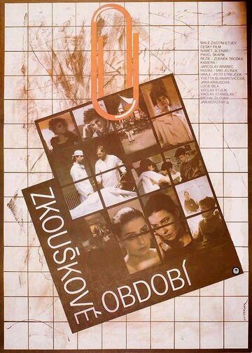 Постер фильма «Zkouskové období»