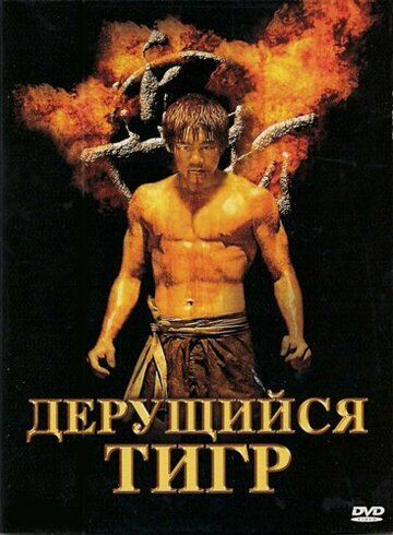 Постер фильма «Дерущийся тигр»