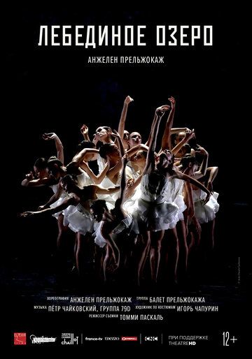 Постер фильма «Лебединое озеро»