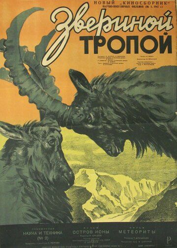 Постер фильма «Звериной тропой»