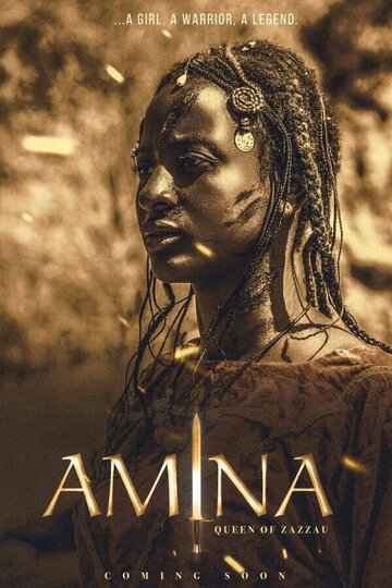 Постер фильма «Амина»
