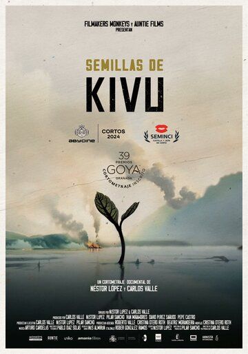 Постер фильма «Semillas de Kivu»