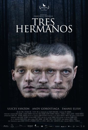 Постер фильма «Три брата»