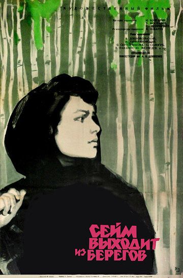 Постер фильма «Сейм выходит из берегов»