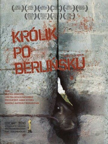 Постер фильма «Кролик по-берлински»