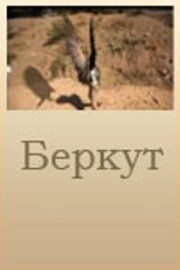 Постер фильма «Беркут»
