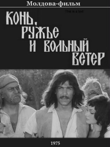 Постер фильма «Конь, ружьё и вольный ветер»