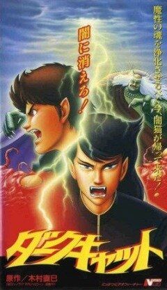 Постер фильма «Черный кот»