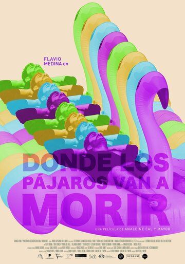 Постер фильма «Donde los pájaros van a morir»