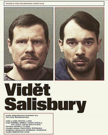 Постер фильма «Увидеть Солсбери»