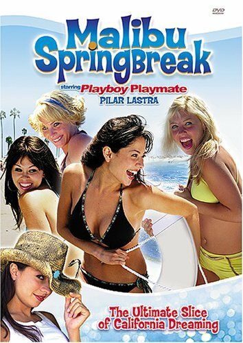 Постер фильма «Malibu Spring Break»