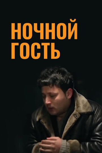 Постер фильма «Ночной гость»