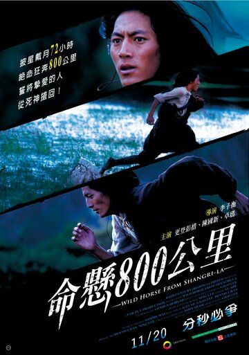 Постер фильма «Wild Horse from Shangri-La»