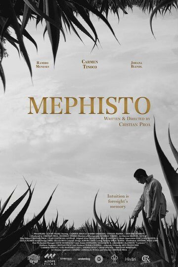 Постер фильма «Mephisto»