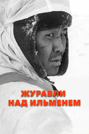 Постер фильма «Журавли над Ильменем»
