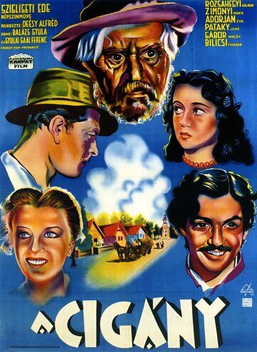 Постер фильма «Цыган»