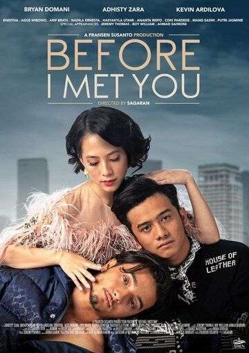 Постер фильма «Before I Met You»
