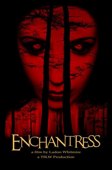 Постер фильма «Enchantress»
