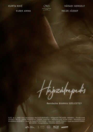 Постер фильма «Hajszálrepedés»