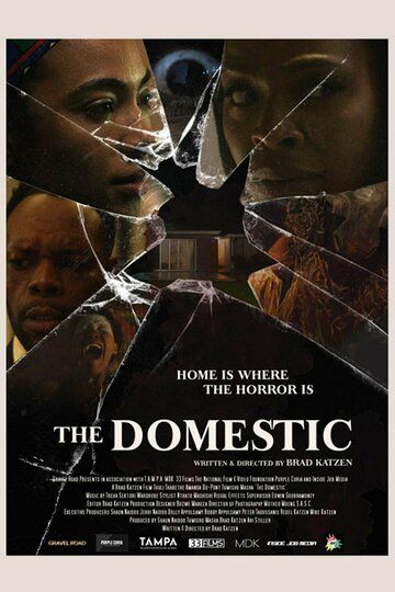 Постер фильма «The Domestic»