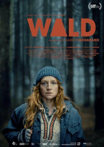 Постер фильма «Wald»