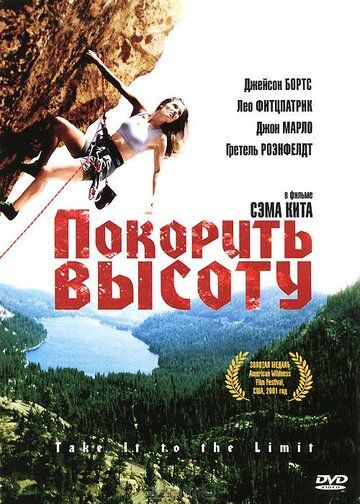 Постер фильма «Покорить высоту»