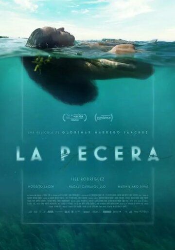 Постер фильма «La pecera»